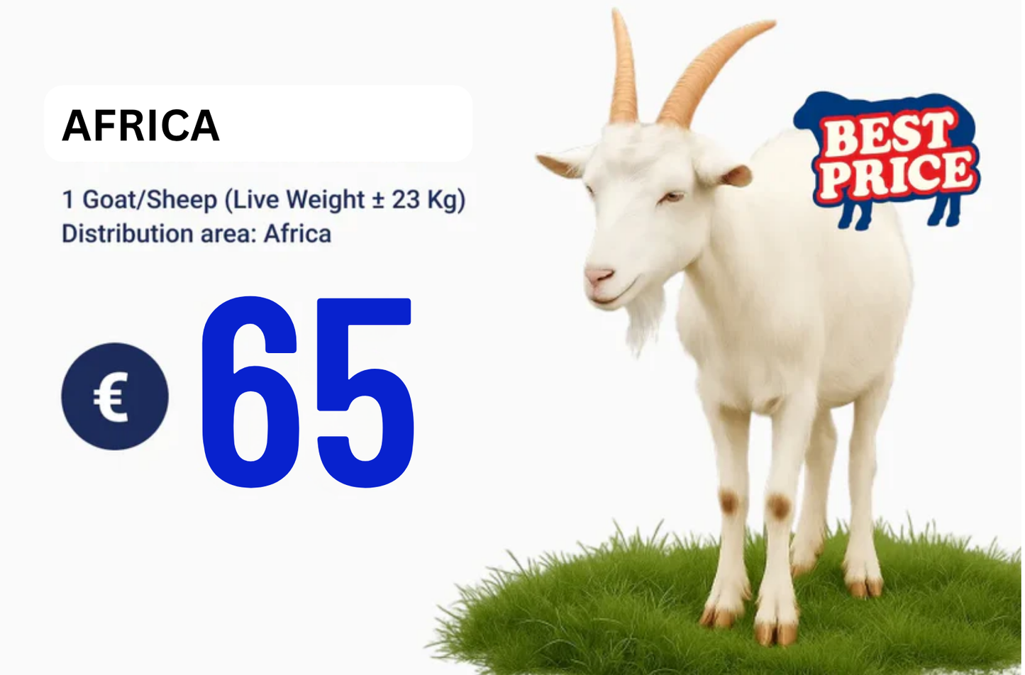 Qurban Programs 2025