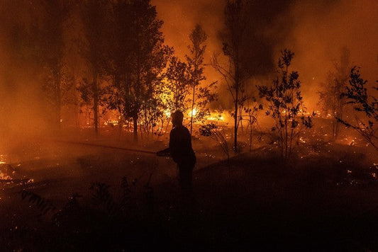 Kalimantan's 2026 Fire Season, Counted in Coughs and Closed Classrooms