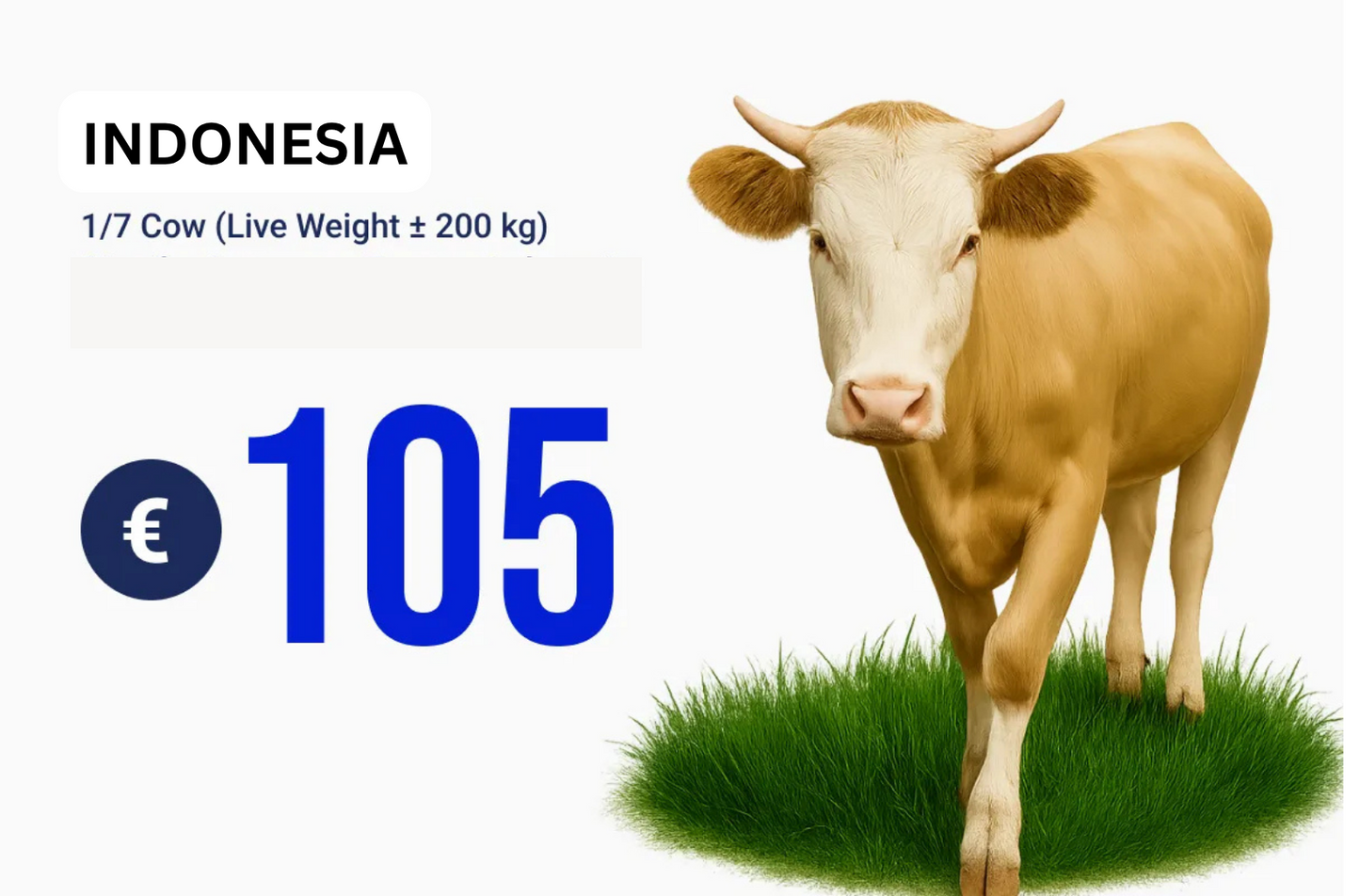 Qurban Programs 2026 (Multi Selection)