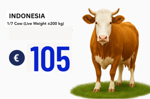 1/7 Sapi