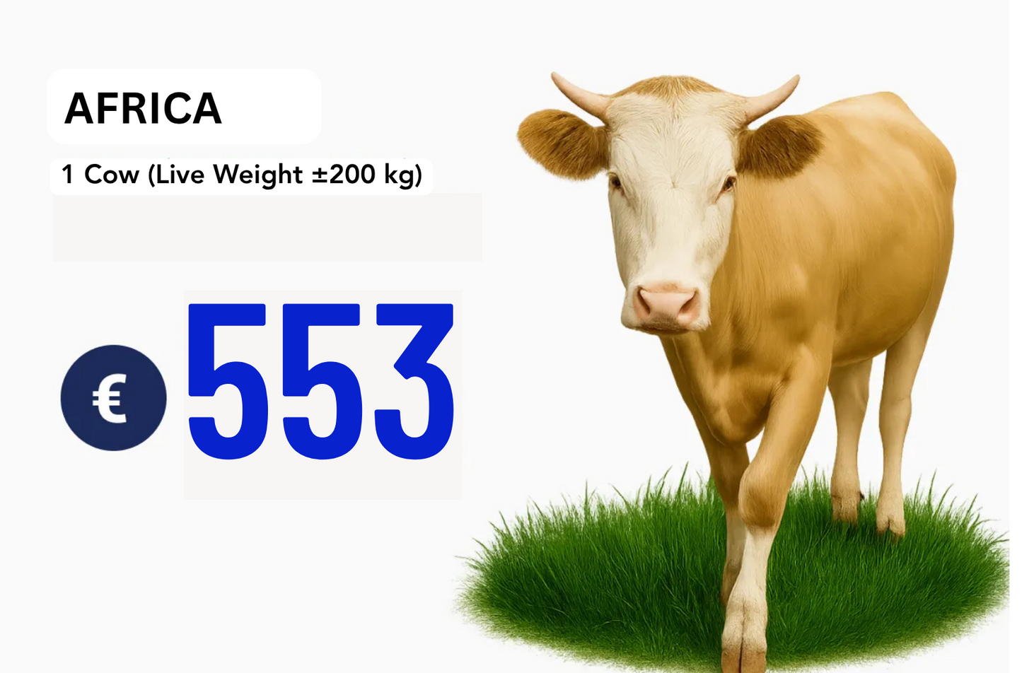 Qurban Programs 2026 (Multi Selection)