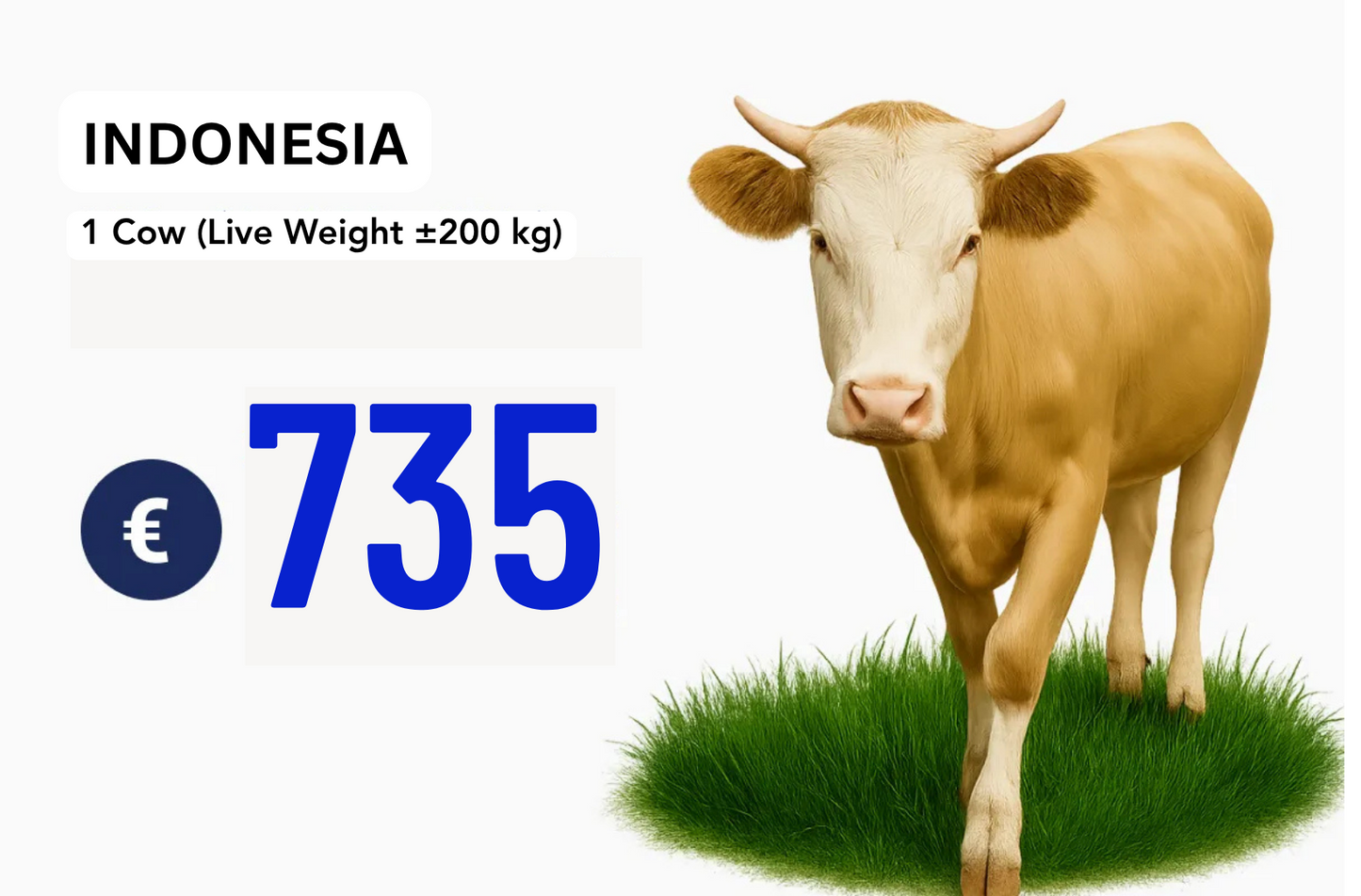 Qurban Programs 2026 (Multi Selection)