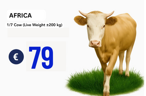1/7 Sapi