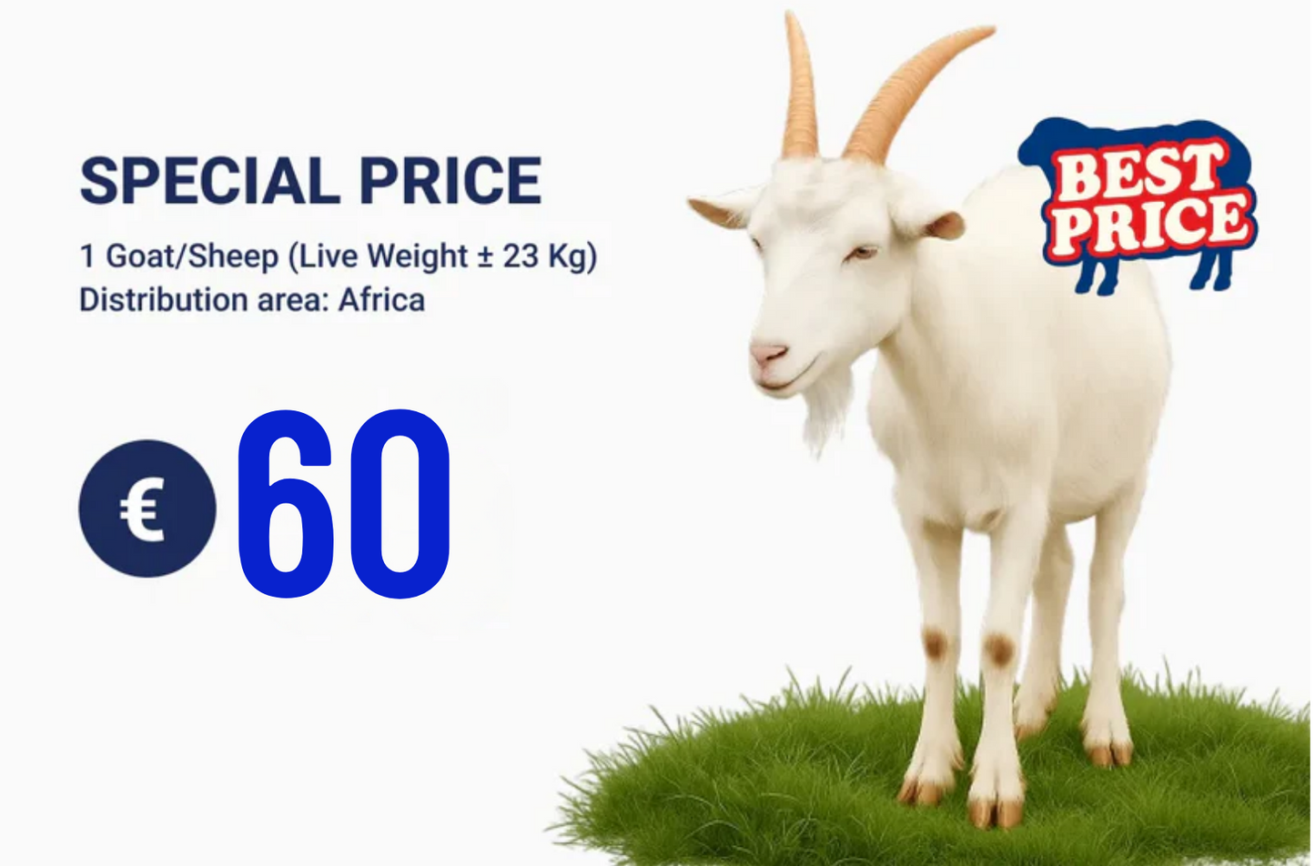 Qurban Programs 2026 (Multi Selection)