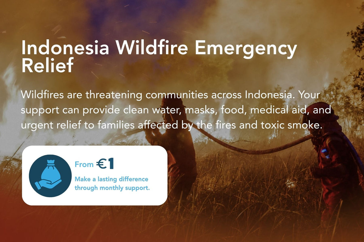 Indonesia Wildfire Emergency Relief