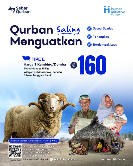 Tipe E Kambing/Domba