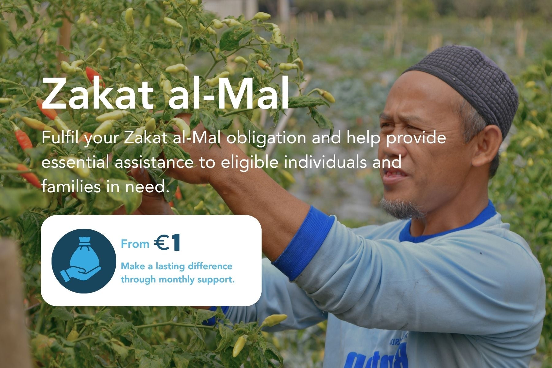 Zakat al-Mal campaign banner showing a farmer harvesting chili peppers, with donations from €1 helping provide essential assistance to eligible individuals and families in need.